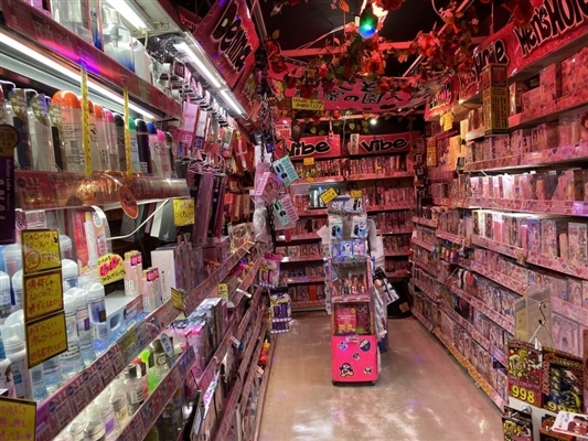 ココなら安心・安全!アダルトグッズが誰にも秘密で手に入る!人気アダルト通販3選!!